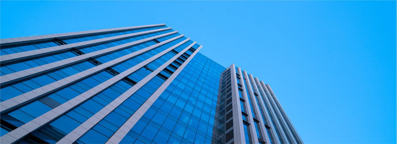 شیڈونگ جینگکن پیکنگ پروڈکٹس کمپنی، لمیٹڈ